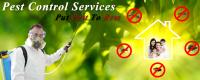 Residential Pest Control Brisbane image 7